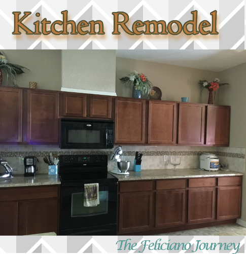 Kitchen Remodel: Day 1 & 2